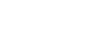 RCI Insurance logo